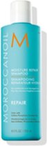 Herstellende Shampoo Moroccanoil Hydraterend (250 ml)