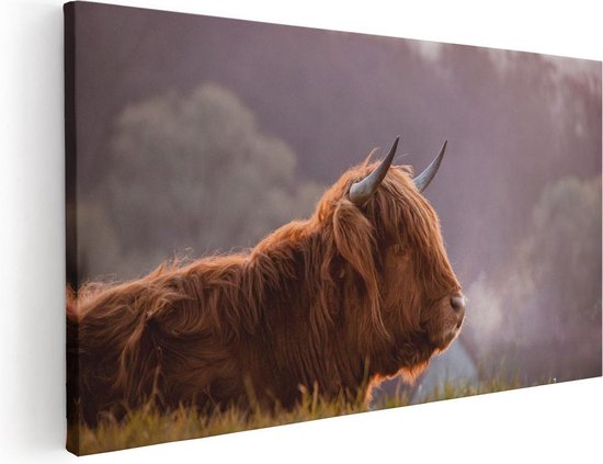 Artaza Canvas Schilderij Schotse Hooglander Koe Ligt In Het Gras - 100x50 - Groot - Foto Op Canvas - Canvas Print