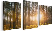 Artaza Canvas Schilderij Drieluik Zonsopkomst In Het Bos Tussen De Bomen - 120x60 - Foto Op Canvas - Canvas Print