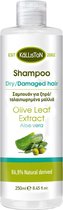 Kálliston Shampoo voor Droog en/of Beschadigd Haar
