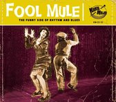 Various Artists - Fool Mule (CD)