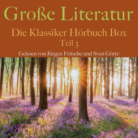 Große Literatur: Die Klassiker Hörbuch Box - cover