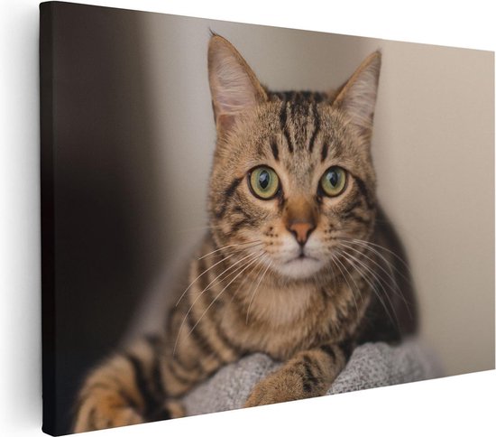 Artaza - Peinture sur toile - Chat aux yeux larges - 90 x 60 - Photo sur toile - Impression sur toile