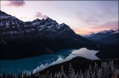 Walljar - Peyto Lake - Muurdecoratie - Canvas schilderij