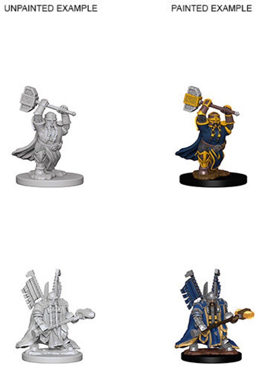 D&D Nolzur's Marvelous Miniatures: Dwarf Paladin