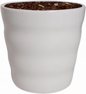 WL Plants - Bloempot Voor Binnen - Witte Keramieke Bloempot - Luxe Bloempotten voor Binnen - Bloempotten voor Buiten - Bloembak & Plantenpot - Hoogte 12,5 cm - Keramisch met Hoogwa