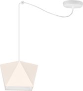 Hangende plafondlamp kap in verschillende kleuren