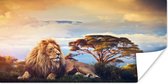 Poster Leeuw - Schilderij - Afrika - 90x60 cm