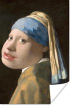 Poster Meisje met de parel - Johannes Vermeer - Karikatuur - 20x30 cm