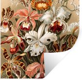 Muurstickers - Orchidee - Ernst Haeckel - 120x120 cm - Plakfolie XXL