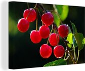 Canvas Schilderij Fruit - Kers - Tak - 30x20 cm - Wanddecoratie