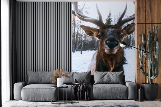 Papier peint - Papier peint photo Cerf - Bois - Neige - Largeur 145 cm x hauteur 220 cm