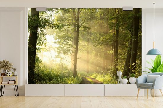 Papier peint - Papier peint photo Forêt - Soleil - Arbres - Largeur 420 cm x hauteur 280 cm