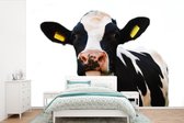 Papier peint - Papier peint photo Vache - Zwart - Wit - Largeur 330 cm x hauteur 220 cm