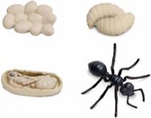 speelfiguren Levenscyclus van een mier beige/zwart 4-delig