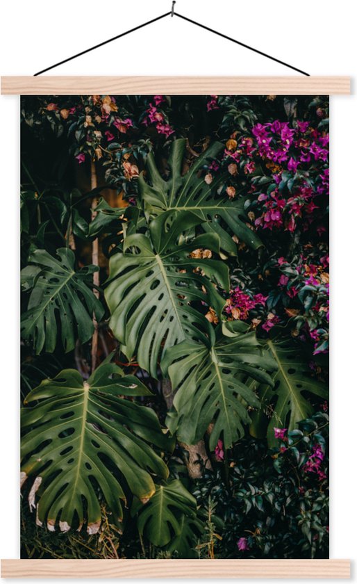 Monstera (plante à trou) fond d' affiche textielposter lattes vierges 40x60 cm - Tirage photo sur plaque scolaire (décoration murale salon / chambre)