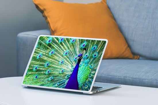 Sticker pour ordinateur portable - 10,1 pouces - Paon - Ressorts - Gros plan