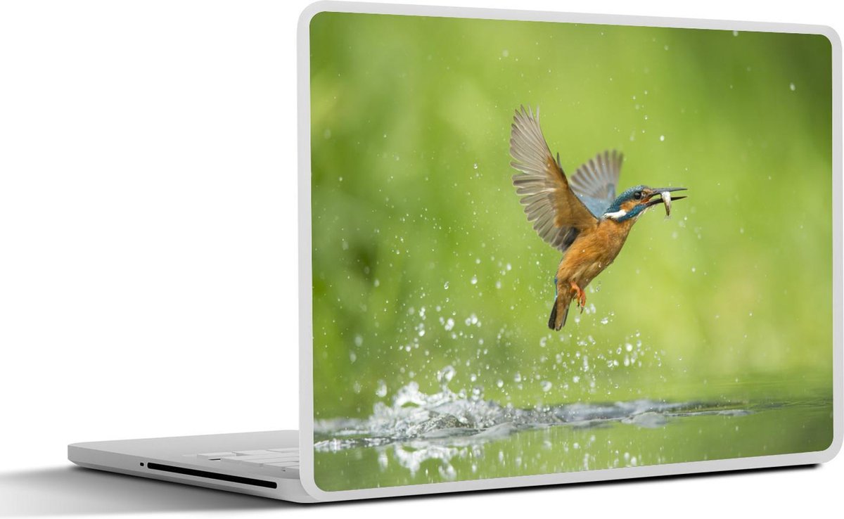 Laptop sticker - 14 inch - IJsvogel - Vis - Dieren - 32x5x23x5cm - Laptopstickers - Laptop skin - Cover