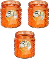 3x stuks citronella kaarsen tegen insecten in glazen pot 12 cm oranje- Anti-muggen/insecten