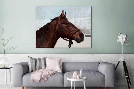 Tableau sur toile Paarden - Animaux - Licol - 120x90 cm - Décoration murale