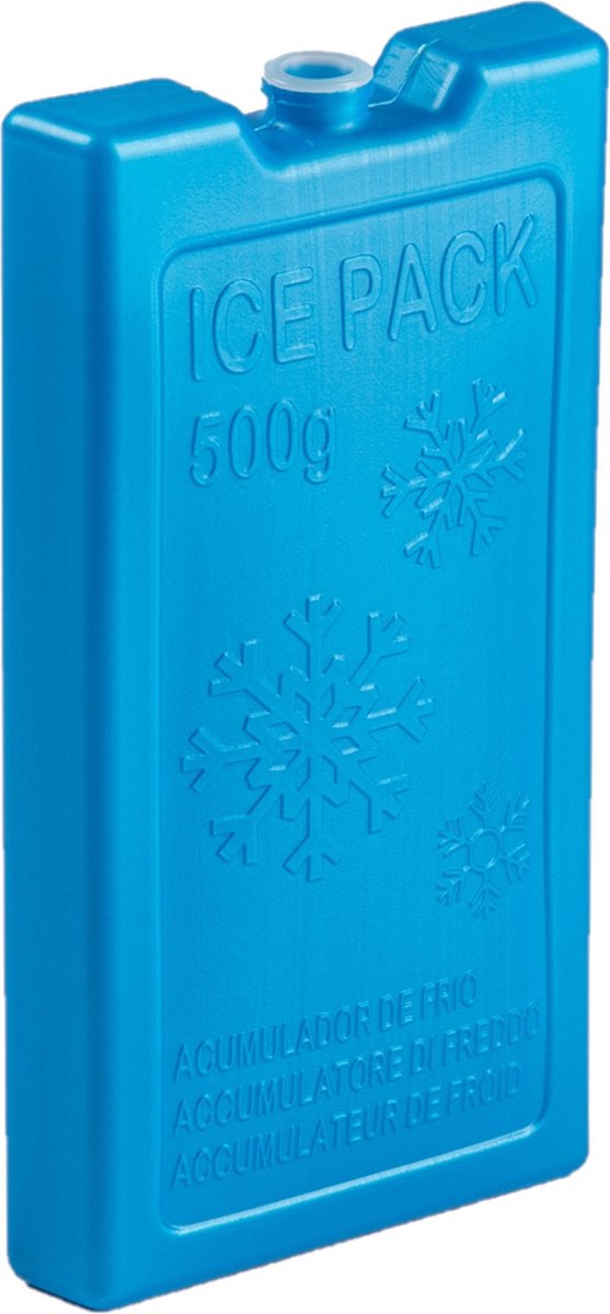 Excellent Houseware koelbox kunststof blauw 10 liter met 4x blauwe koelelementen van 20 x 10 cm van Excellent Houseware — afbeelding 3