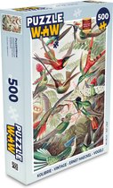 Puzzel Kolibrie - Vintage - Ernst Haeckel - Vogel - Kunst - Natuur - Legpuzzel - Puzzel 500 stukjes