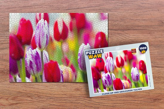 Puzzle Gros plan de tulipes colorées - Puzzle - Puzzle 1000 pièces adultes  | bol.com