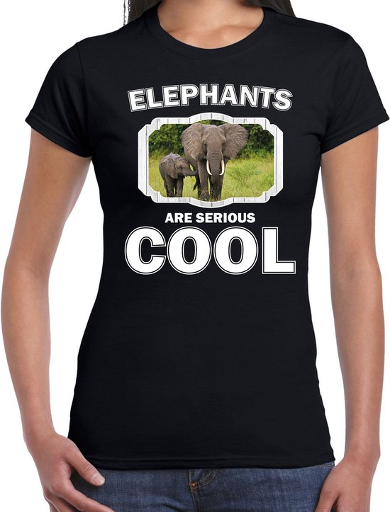 Dieren olifant met kalf t-shirt zwart dames - elephants are serious cool shirt - cadeau t-shirt olifant/ olifanten liefhebber XXL
