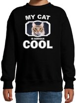 Bruine kat / poes trui / sweater my cat is serious cool zwart - kinderen - Katten liefhebber cadeau sweaters - kinderkleding / kleding 152/164