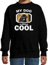 Newfoundlander  honden trui / sweater my dog is serious cool zwart - kinderen - Newfoundlanders liefhebber cadeau sweaters - kinderkleding / kleding 134/146