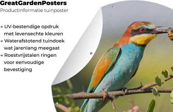 Garden Circle Vogel - Guêpier - Fleurs - 60x60 cm - Affiche Ronde de Jardin - Extérieur