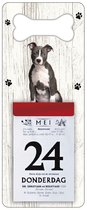 Scheurkalender 2024 Hond: American staffordshire terrier