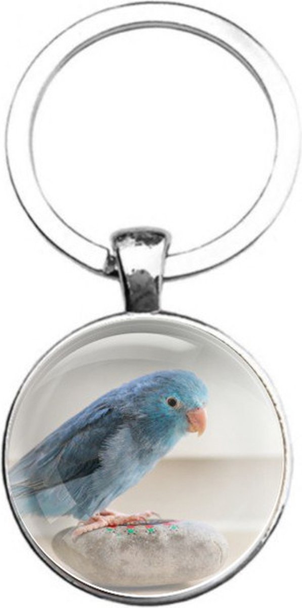 Sleutelhanger Glas - Vogel
