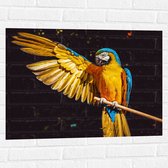 WallClassics - Muursticker - Ara Papegaai met Geel Gouden Vleugels - 80x60 cm Foto op Muursticker