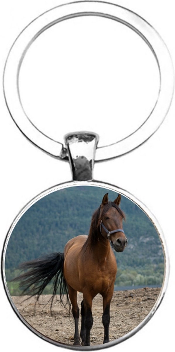 Sleutelhanger Glas - Paard
