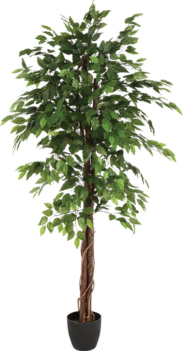 Konges Sløjd Kunstficus 180 cm - ficus Kunstplant - Kunstplanten voor Binnen - Grote Kunstplant Zwart