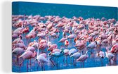 OneMillionCanvasses - Canvas schilderij - Flamingo - Water - Tropisch - Roze - Vogel - Schilderijen op canvas - Foto op canvas - 160x80 cm - Muurdecoratie