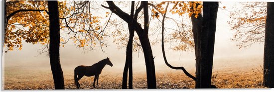 WallClassics - Acrylglas - Eenzaam Paard in het Bos - 60x20 cm Foto op Acrylglas (Met Ophangsysteem)