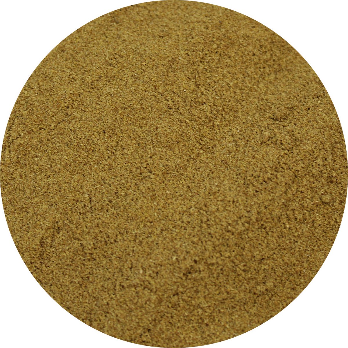Goedkoopste Van Beekum Specerijen - Anijszaad Gemalen - 20 KG - Zak (bulk verpakking