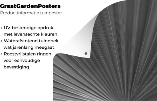 Posters de jardin Gros plan sur une feuille de palmier - noir et blanc - 90x60 cm