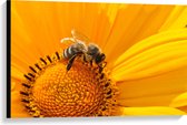 WallClassics - Toile - Abeille sur Bloem Jaune - 90x60 cm Photo sur Toile (Décoration murale sur Toile)