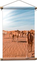 WallClassics - Textielposter - Vrolijke Kamelen in de Woestijn - 40x60 cm Foto op Textiel