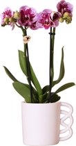 Kolibri Orchids | Roze paarse Phalaenopsis orchidee - El Salvador + Happy Mug sierpot wit- potmaat Ø9cm - 40cm hoog | bloeiende kamerplant - vers van de kweker