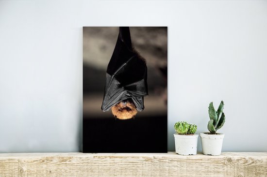 Hanging bat Aluminium 20x30 cm - petit - Tirage photo sur aluminium (décoration murale en métal)