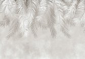 Fotobehangkoning - Behang - Fotobehang - Palmbladeren - Bladeren - Palmboom - 152,5 x 104 cm