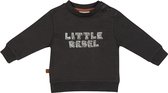 Frogs and Dogs - Dino Park Sweater Little Rebel - - Maat 68 -