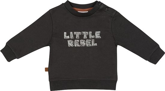 Frogs and Dogs - Dino Park Sweater Little Rebel - Jongens
