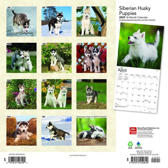 Siberian Husky Puppies Kalender 2023  bol.com