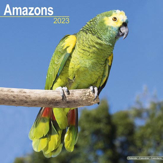 Amazone Kalender 2023  bol.com