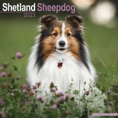 Shetland Sheepdogs Kalender 2023